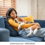 大香伊蕉在人线国产mv uqye8z401